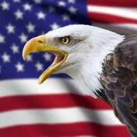 浩哥i✝️i🇺🇸iA2 (@s7i5fv0joz6sv3a) 's Twitter Profile