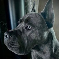 Chris (@chris444472) 's Twitter Profile