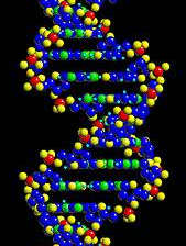 EvoAmbassador's profile picture. A small attempt to cast light on the shadow of ignorance...