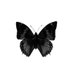 butterfly chAIn (@chain_butterfly) Twitter profile photo butterfly chAIn (@chain_butterfly) Twitter profile photo