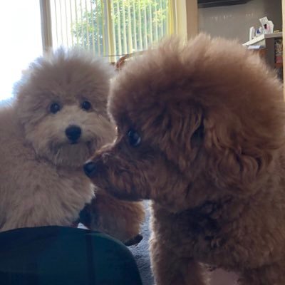 ろとって人さんのプロフィール画像