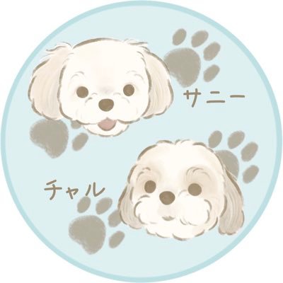 LoMarines54's profile picture. ズレ〜汰過激団バンド/ 毎月第4土曜日リンネイベント/偶数月第3月曜日野球好きイベント/千葉ロッテマリーンズ#49#5/🐶シーズーのチャルとサニー/原田芳雄 /松田優作/昭和プロレス/ユニコーンは初期から現在まで/#chibalotte