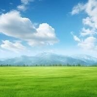 JulianMigu58815's profile picture. this is not a place for Elvis haters