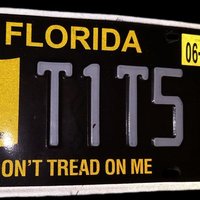 Taxation is theft stupid (@t1t5fl) 's Twitter Profile