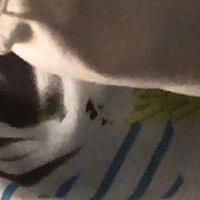 C (@c7495867) 's Twitter Profile