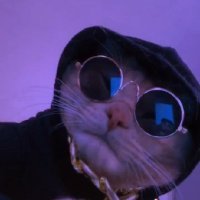 0xOslo (@0x_oslo) 's Twitter Profile