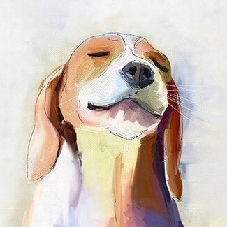 modenaskyblue's profile picture. Common sense enthusiast. Coventry City supporter. Motor scooter rider. Coffee maker. Husband. Dad. Breaker of speed limits. Beagle owner. Hail Trump.