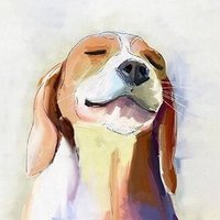 modenaskyblue (@modenaskyblue) 's Twitter Profile