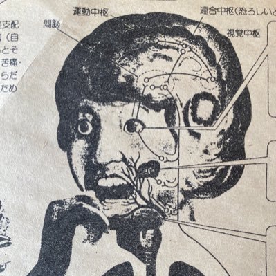もりさんのプロフィール画像