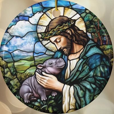 TinyTinfoilToy's profile picture. Christian. Latina. MoodengSOL and UFD. DYOR.