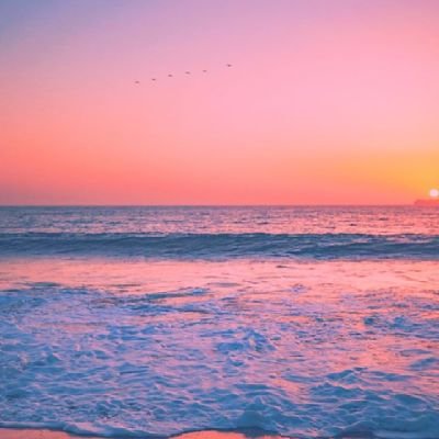 meepyplup's profile picture. i do weird things, and people watch.