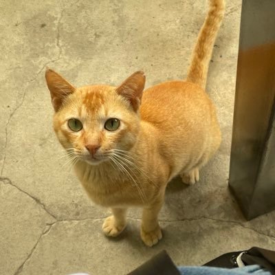 miyama_it's profile picture. 社会人は勉強の毎日。色んな知識身につけたい。