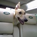 Linda Sharp - @LindaSharp84330 - Twitter