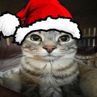 Passiva Kawai (@dixx_passiva) 's Twitter Profile