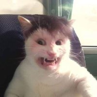 Ucinggggg (@kntlodoonn) 's Twitter Profile Photo Ucinggggg (@kntlodoonn) 's Twitter Profile Photo