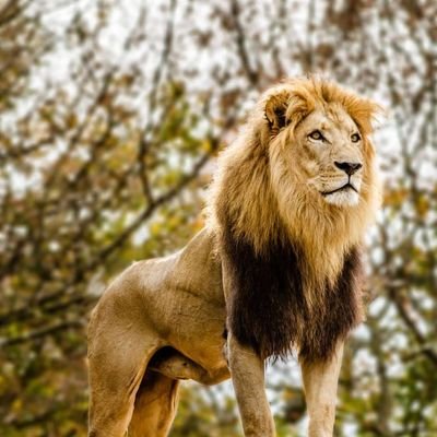 alex75364142747's profile picture. Sonrie