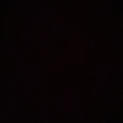 buzzi_marcello's profile picture. 