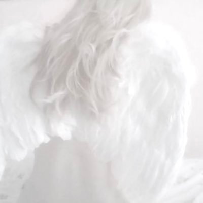 pinkroseinsnow's profile picture. ୨୧ new acc ୨୧ prorecovery ୨୧ ed/sh mentioned!!!!! ୨୧ ୨୧ h-170 hw-58.4 cw-??? gw-50 ugw-44-42 ୨୧