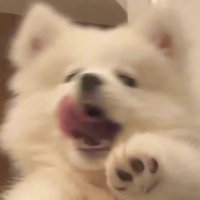 다우 ดาว (@hannntol) 's Twitter Profile