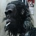Supri Anto (@michaeldarmadji) Twitter profile photo Supri Anto (@michaeldarmadji) Twitter profile photo