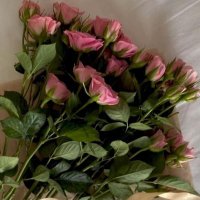 𝙼𝙰𝙷𝙰🌷 (@mas202m) 's Twitter Profile
