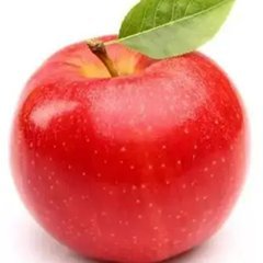 Focus on Horticultural Plant(Apple🍎) Genomics、RNAseq、DNA methylation......