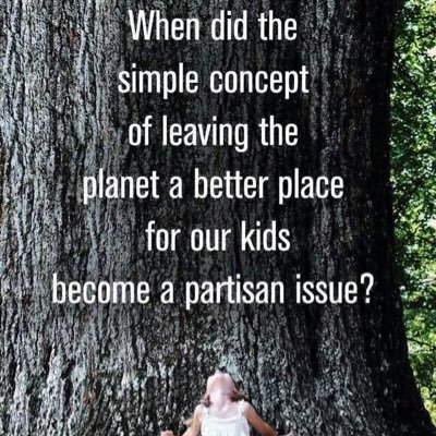 sniffy593's profile picture. 