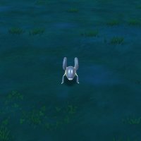 あかいくつした@ポケモンGO鹿児島 (@oninkoo) 's Twitter Profile
