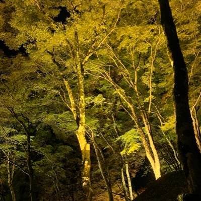 yOpofAdkrh9376's profile picture. 色々とお話ししたい