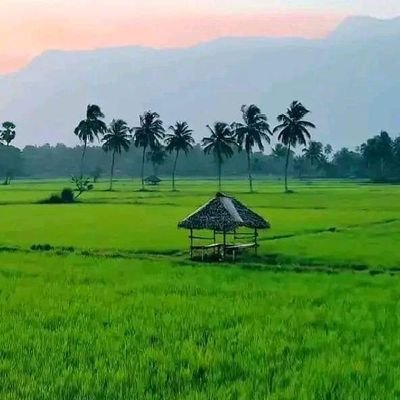 ഒരൊറ്റ ജീവിതം.. അത് ആസ്വദിക്കണം.. ഒറ്റപെട്ട സ്ത്രീകൾ വന്നോളൂ.. നല്ല ഒരു സുഹൃത് ആയി കൂടെ ഉണ്ടാകും എന്തിനും.. വിശ്വസിക്കാം... ചതിക്കില്ല...8590522800