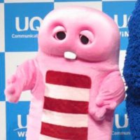 こんぽた (@coks_08) 's Twitter Profile