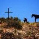 Keith Ford - @ffcattle - Twitter