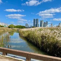 Sung You Hong (@hongsung37582) 's Twitter Profile Photo