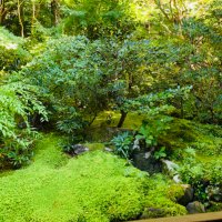 monamona (@ap3rewrqrggmqv7) 's Twitter Profile Photo