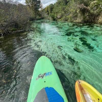 ChukuWachuku's profile picture. 🦋