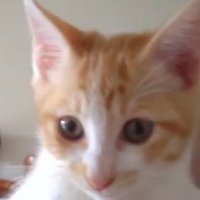 Ichiro✨✨160愛と真実のRadio✨✨ (@talkwithichiro) 's Twitter Profile