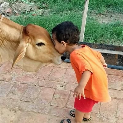 Researcher || Writer || Vigyan || Puran || Herbs || Scientifically
Religious Sanatani 🕉️🚩
सेवा परमो धर्म:॥
𝐎𝐰𝐧𝐞𝐫 : 𝐒𝐚𝐧𝐚𝐭𝐚𝐧𝐢 𝐇𝐞𝐥𝐩 𝟐𝟒×𝟕