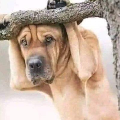 max12348765900's profile picture. 