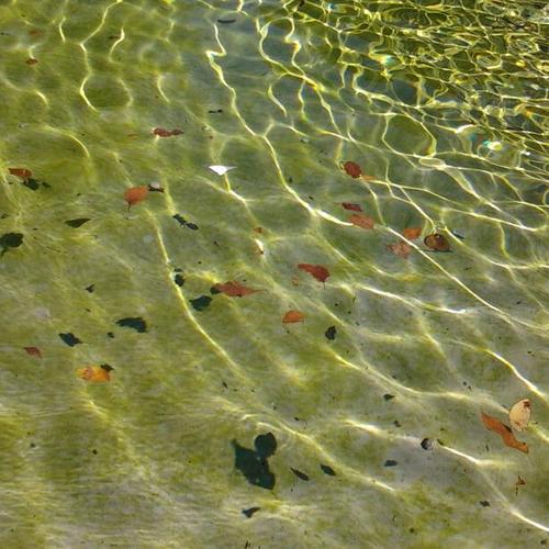 frankazone's profile picture. 