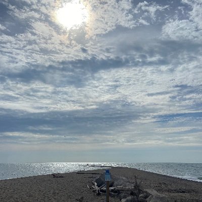 bluebaron's profile picture. 