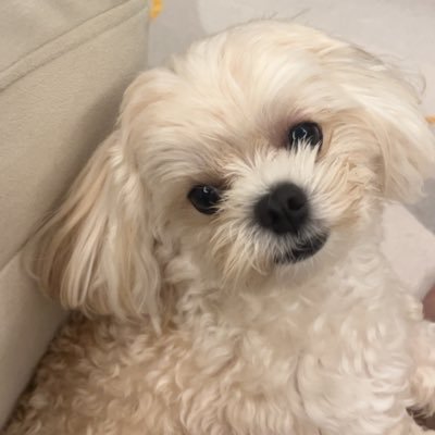 Kloudy_mind's profile picture. pcf💚