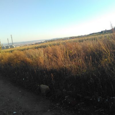 chaoyizhu's profile picture. I want to become the best front-end engineer.