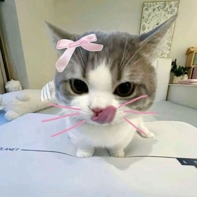 jokicacaa's profile picture. joki tulis dom jakarta, pengerjaan cepat & payment di akhir❗tidak menerima dm❗Jakarta Timur, Kramat Jati 👇🏻📩👇🏻