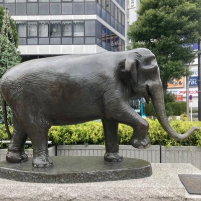 QT9jKEEdbX27107's profile picture. 