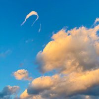 Siqi (@siqi_jia7) 's Twitter Profile Photo