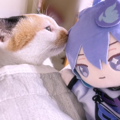 めうさんのプロフィール画像