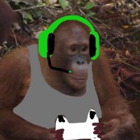 josh (@joshcsato) 's Twitter Profile