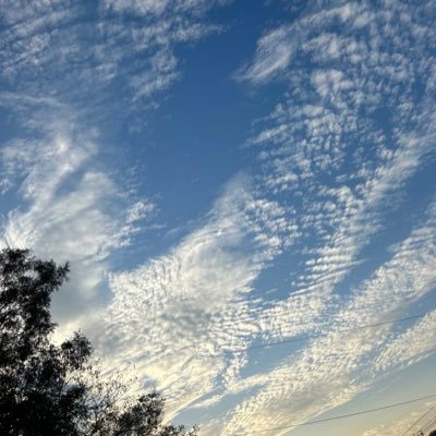 0xa8897's profile picture. 记录生活，走走看看，分享喜欢的人和事。