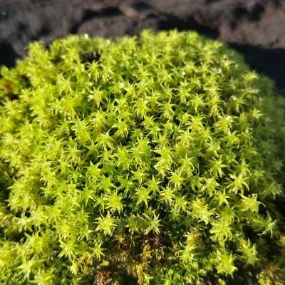 MAir97410's profile picture. 