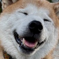 竹田 (@tkd_lesrainbow) 's Twitter Profile Photo 竹田 (@tkd_lesrainbow) 's Twitter Profile Photo